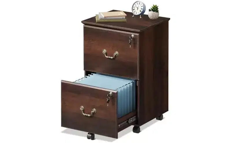 DEXYLLO File Cabinet 2-Drawer, Small Office Furniture with Lock, Rolling Under Desk Filing Cabinet for Home Office